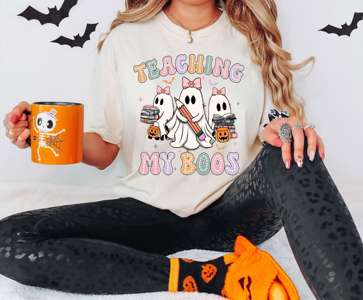 Teaching my Boos Shirt / Sweater